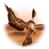 Falcon TikTok LIVE gift PNG