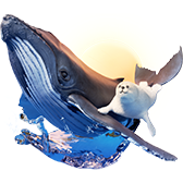 Seal and Whale TikTok LIVE gift PNG