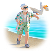 Seagull Showdown TikTok LIVE gift PNG