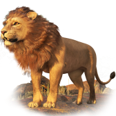Lion TikTok LIVE gift PNG