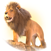 Lion 222 TikTok LIVE gift PNG