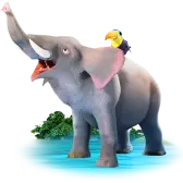 Ellie the Elephant TikTok LIVE gift PNG