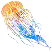 Glowing Jellyfish TikTok LIVE gift PNG