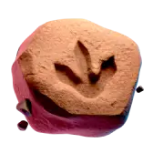 Dinosaur footprint TikTok LIVE gift PNG