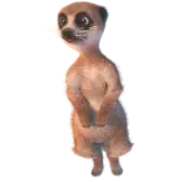 Meerkat TikTok LIVE gift PNG