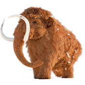 Maggie TikTok LIVE gift PNG