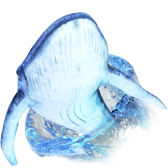 Whale diving TikTok LIVE gift PNG