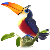 Toucan TikTok LIVE gift PNG