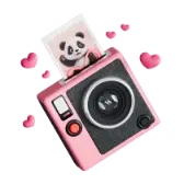 Panda Snap TikTok LIVE gift PNG