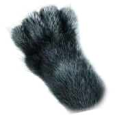 Panther Paws TikTok LIVE gift PNG